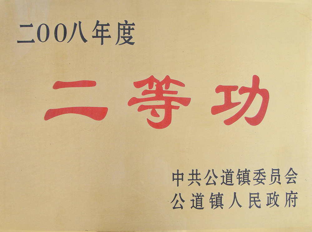 2008年二等功-拷貝.jpg