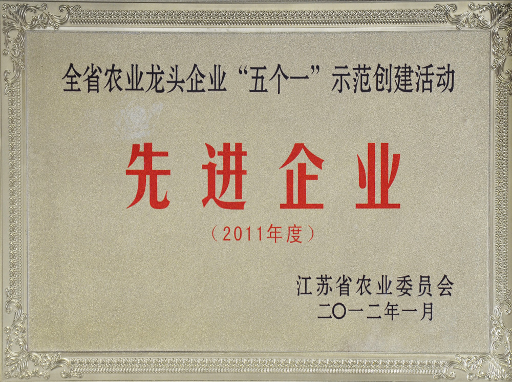 2011五個一先進企業(yè).JPG