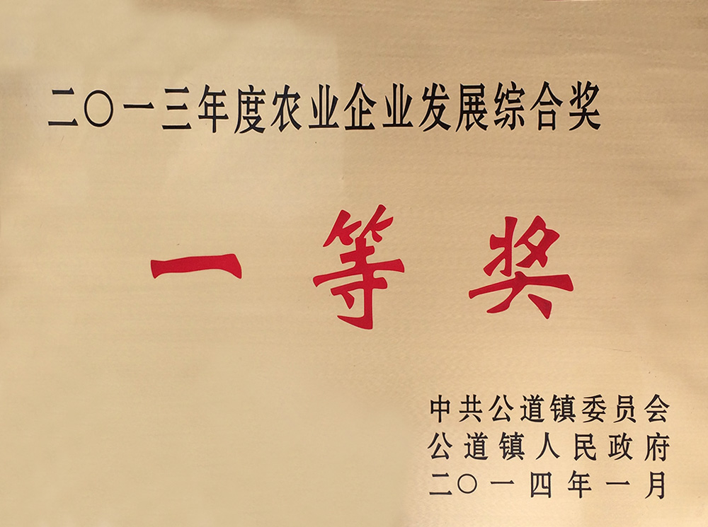 2013一等獎.jpg