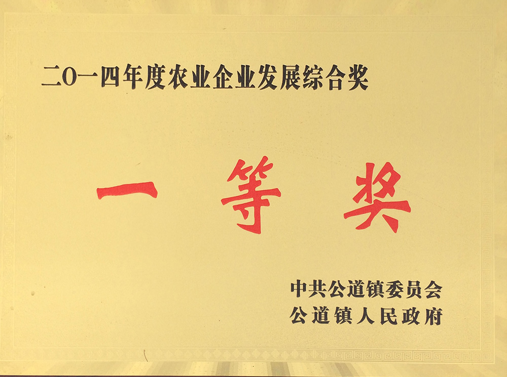 2014一等獎(jiǎng).jpg