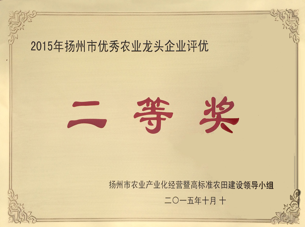 2015年龍頭企業(yè).JPG